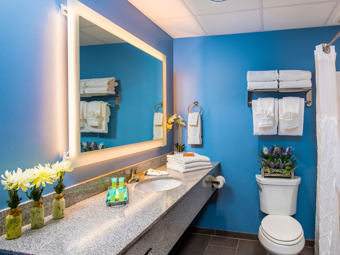 Bathroom 4, Country Cascades Waterpark Resort, Sevier