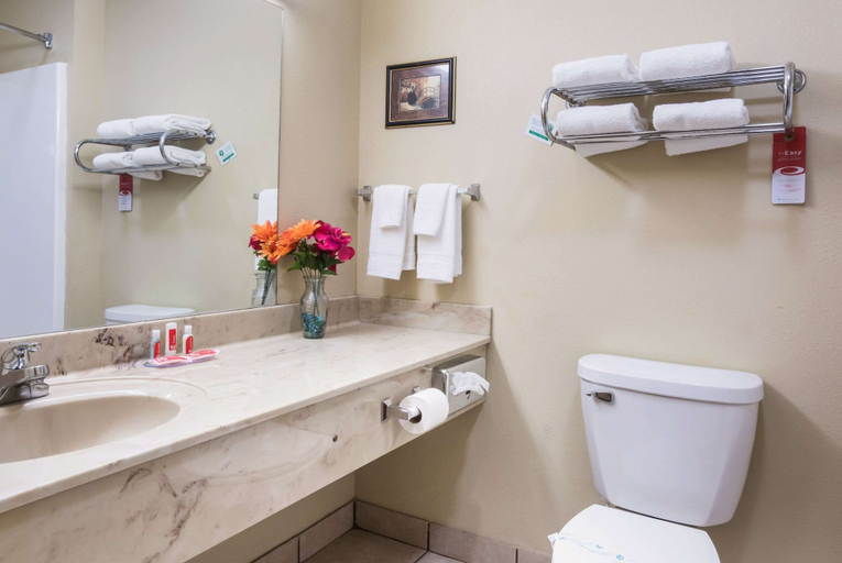 Bathroom 4, Econo Lodge Inn & Suites Rockmart, Polk