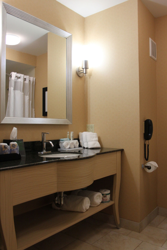 Bathroom 4, Holiday Inn Express CORTLAND by IHG, Cortland