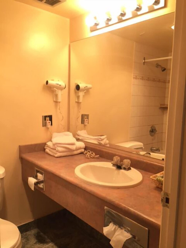 Bathroom 4, Tropicana Suite Hotel, Greater Vancouver