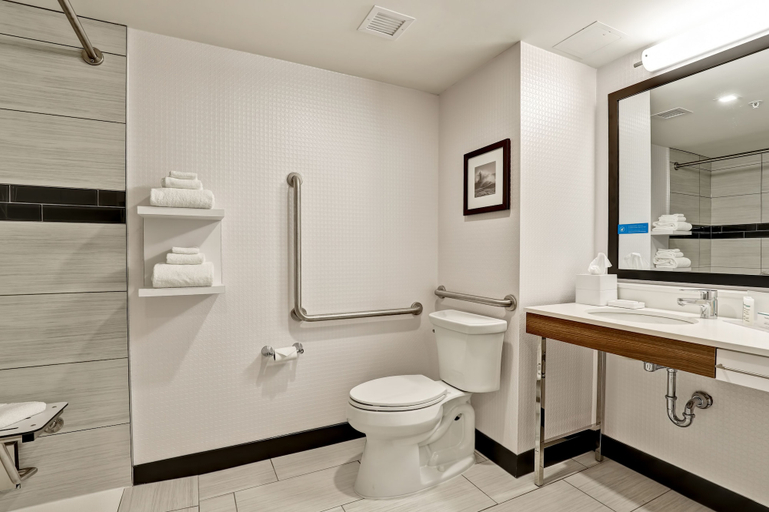 Bathroom 5, Hampton Inn & Suites Huntsville, Walker