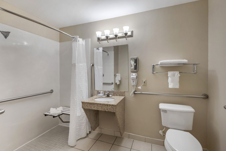 Bathroom 5, Comfort Inn & Suites Canton Riverstone Area, Cherokee