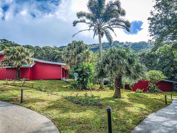 Exterior & Views 2, Cloud Forest Lodge, Puntarenas
