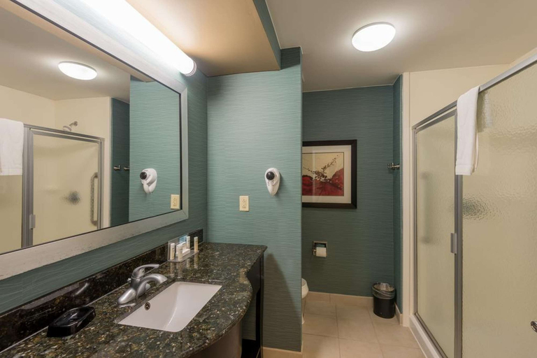 Bathroom 4, Hampton Inn New Albany, Union
