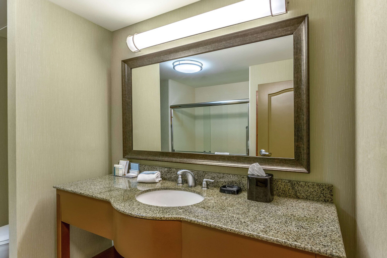 Bathroom 4, Hampton Inn Okeechobee - Lake Okeechobee , Okeechobee