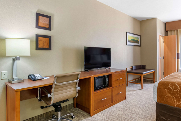 Others 5, Comfort Suites University, Lubbock