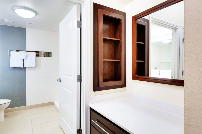 Bathroom 4, Residence Inn by Marriott Austin Airport, Travis