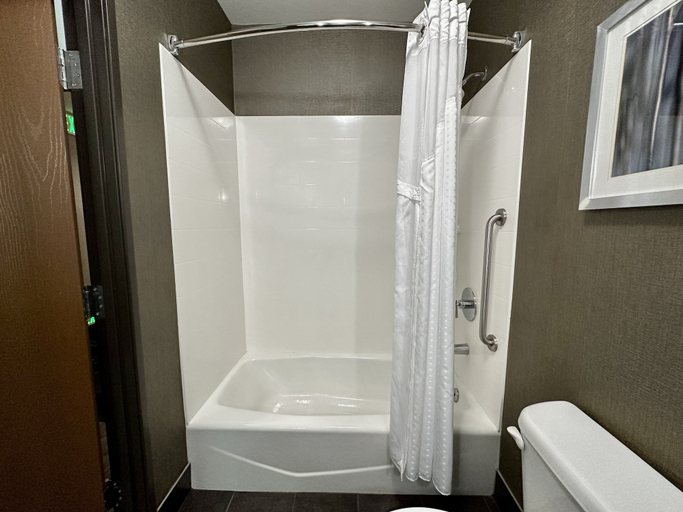 Bathroom 3, Holiday Inn Carlsbad by IHG, San Diego