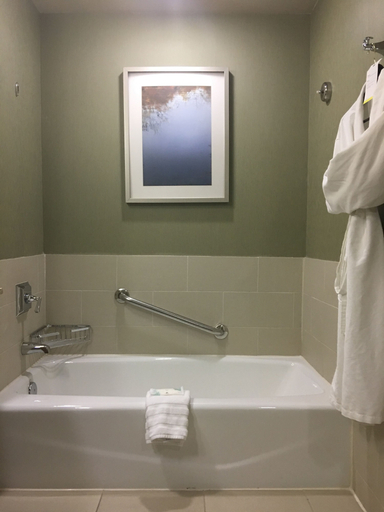 Bathroom 5, The Westin Memphis Beale Street, Shelby