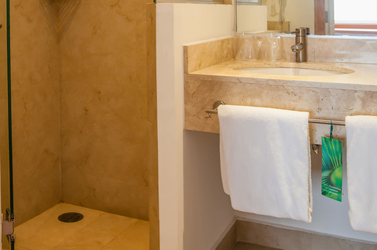 Bathroom 4, One Aguascalientes Sur, Aguascalientes