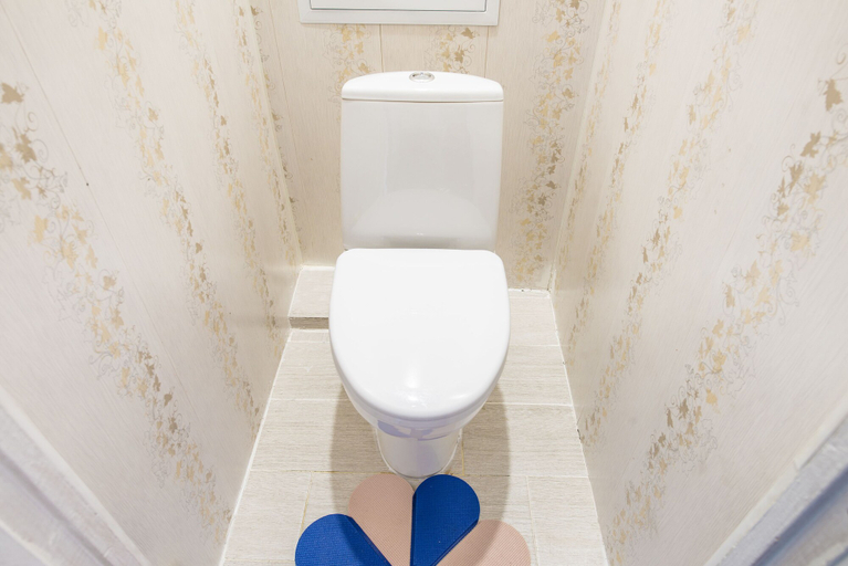 Bathroom 2, Domumetro on Akademika Chelomeya 10, Western