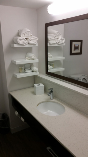 Bathroom 4, Hampton Inn Commerce, Banks