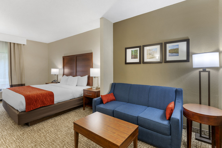 Bedroom 4, Comfort Inn & Suites Canton Riverstone Area, Cherokee