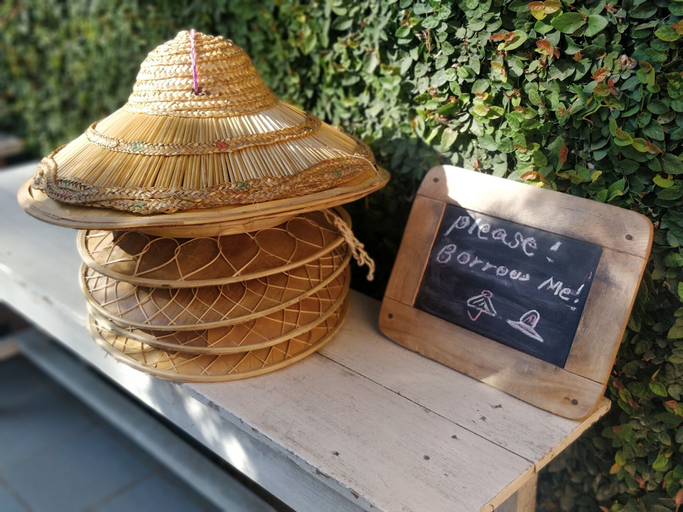 Food & Drinks 5, Hillock Villa, Taunggye