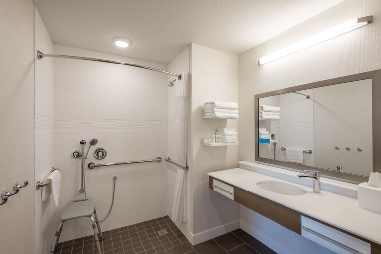 Bathroom 5, Hampton Inn & Suites Phoenix East Mesa, Maricopa