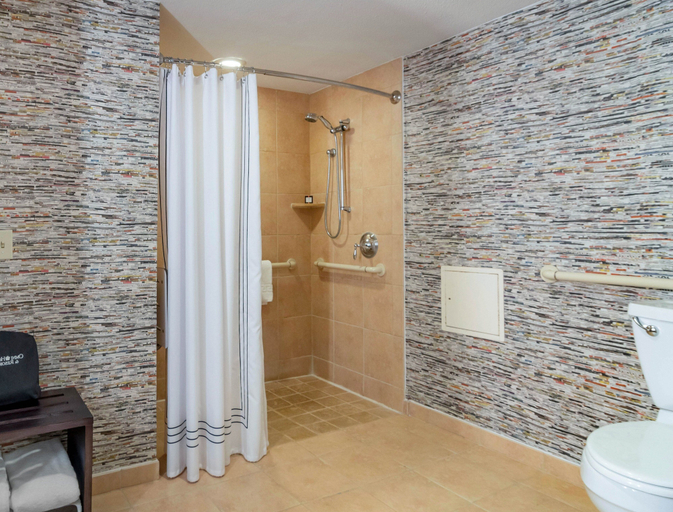 Bathroom 5, Omni Atlanta Hotel at Centennial Park, Atlanta