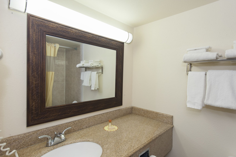 Bathroom 4, Days Inn & Suites by Wyndham Laredo, Webb