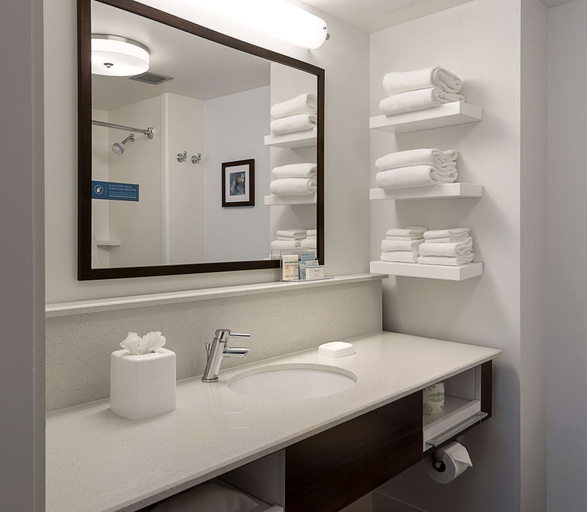Bathroom 4, Hampton Inn & Suites Charlotte/Pineville, Mecklenburg
