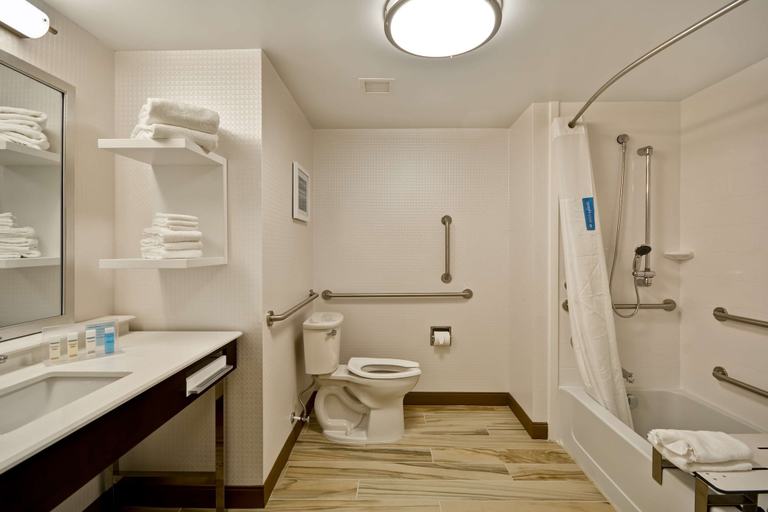 Bathroom 4, Hampton Inn & Suites Detroit/Warren, Macomb