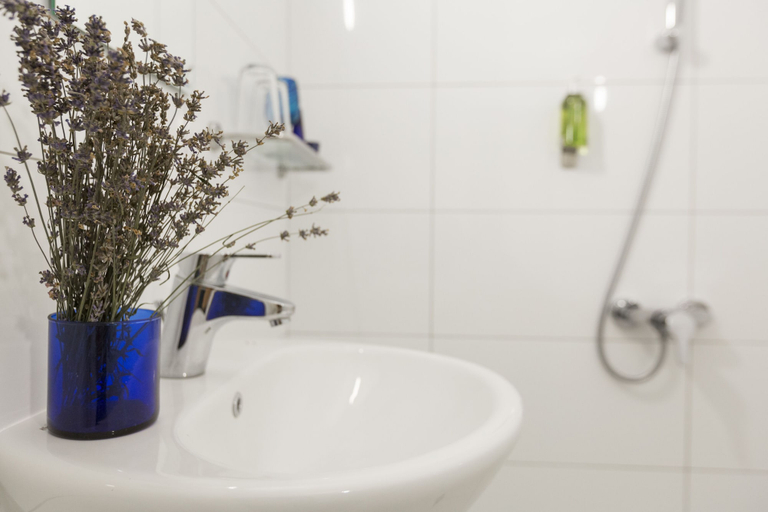 Bathroom 3, Little River Guest House, Gabrovo