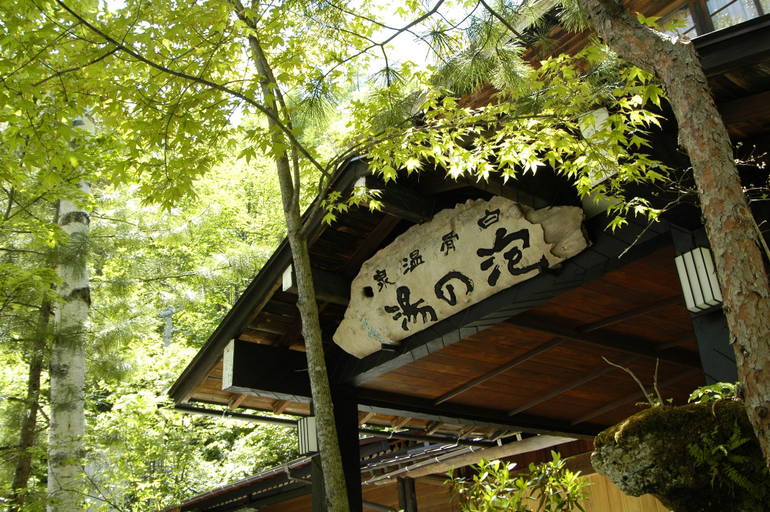 Exterior & Views 2, Awanoyu, Matsumoto