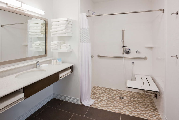 Bathroom 4, Hampton Inn & Suites Sioux City South, Woodbury