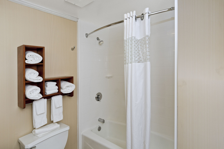 Bathroom 4, Hampton Inn Asheboro, Randolph
