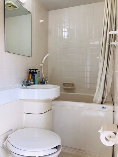 Bathroom 3, Harukaze no Yado, Iwaki