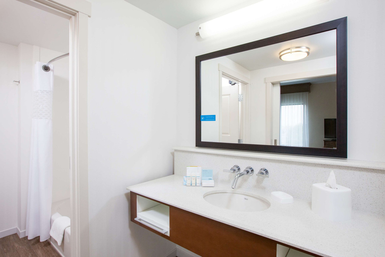 Bathroom 4, Hampton Inn & Suites Pasco/Tri-Cities, Franklin