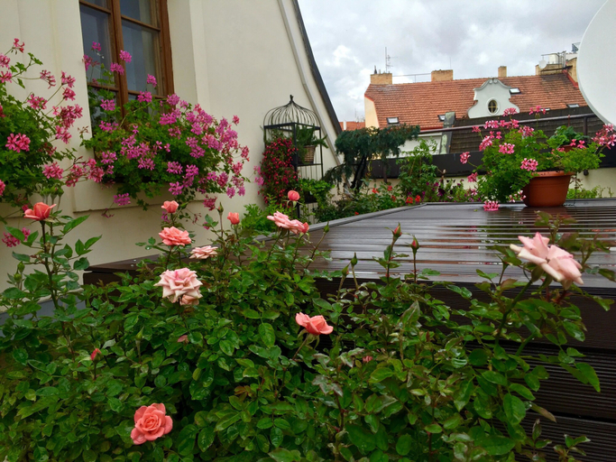 Exterior & Views 2, Old Town Boutique Apartments, Praha 1