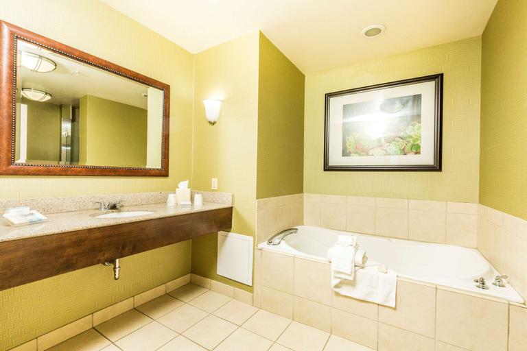 Bathroom 4, Hilton Garden Inn St. George, Washington