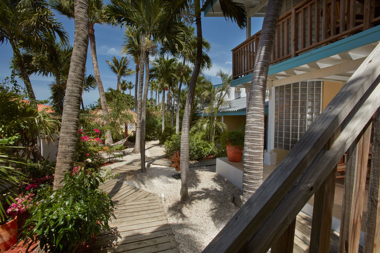 Exterior & Views 2, Paradera Park Aruba