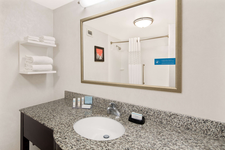 Bathroom 4, Hampton Inn Atlanta-Georgia Tech-Downtown, Atlanta