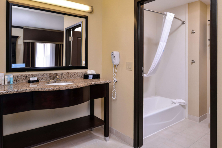 Bathroom 4, Hampton Inn & Suites Big Spring, Howard