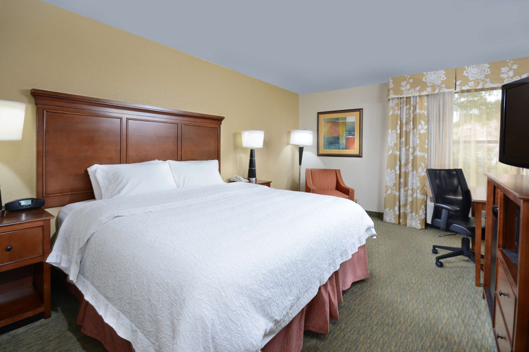 Bedroom 3, Hampton Inn Raleigh-Durham Airport, Wake