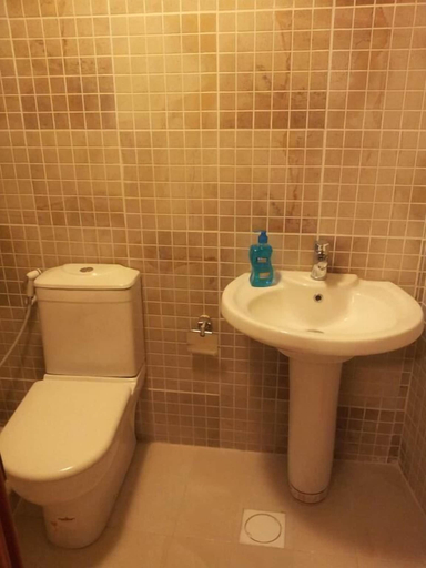 Bathroom 2, Jordan River Hotel, Wadi Essier