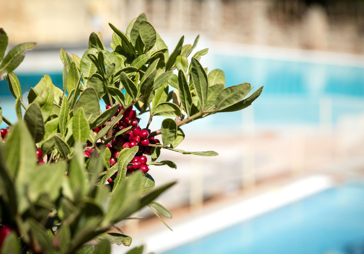 Sport & Beauty 5, Residenza Capriccioli, Olbia-Tempio