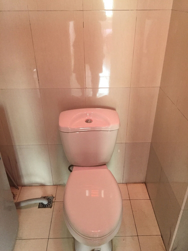 Bathroom 4, Beijing Wenxin Hotel, Beijing