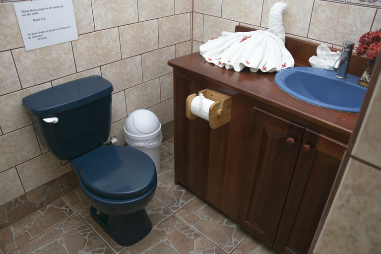 Bathroom 5, Pelican Beachfront Hotel, Parrita