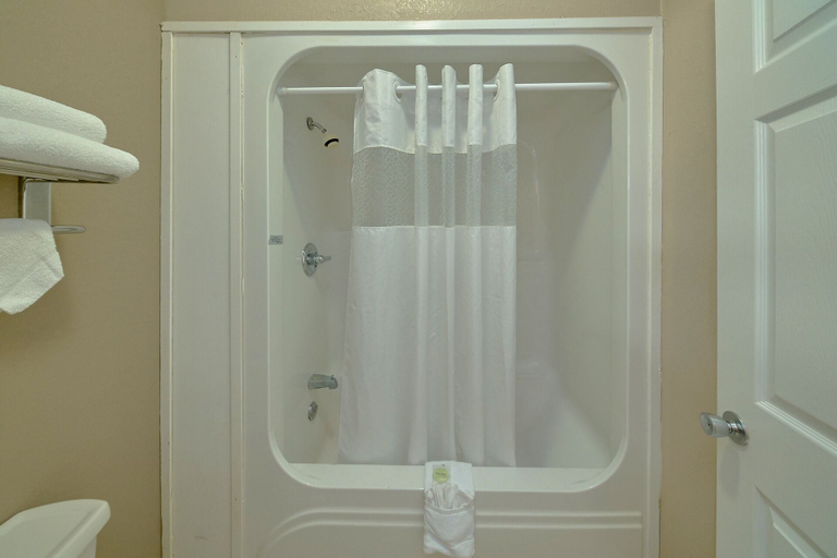 Bathroom 4, Sidney James Mountain Lodge, Sevier