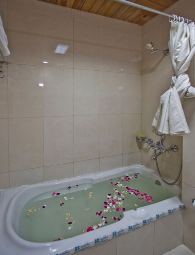 Bathroom 4, Hotel Broadways Inn, Kullu