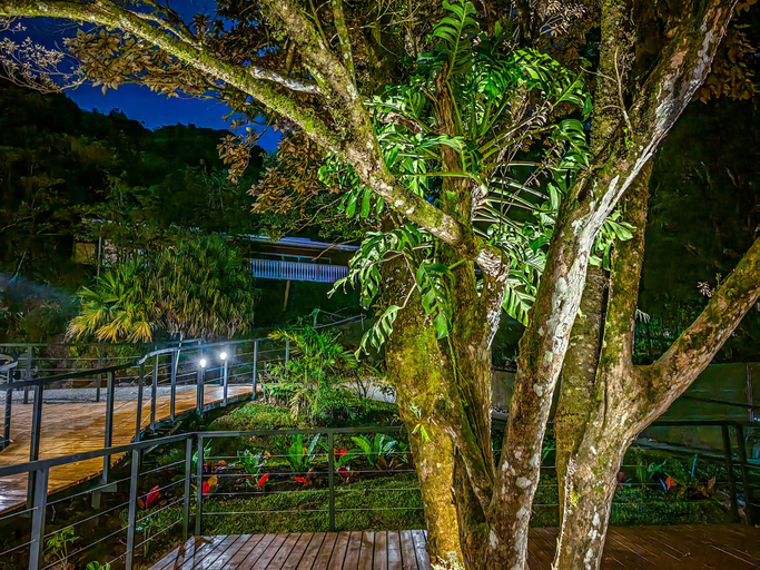 Exterior & Views 2, Cloud Forest Lodge, Puntarenas