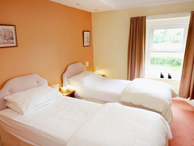 Bedroom 5, The Trout Cafe, Powys