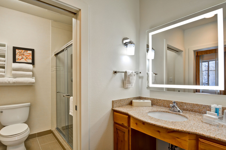 Bathroom 4, Homewood Suites by Hilton Jackson, Teton
