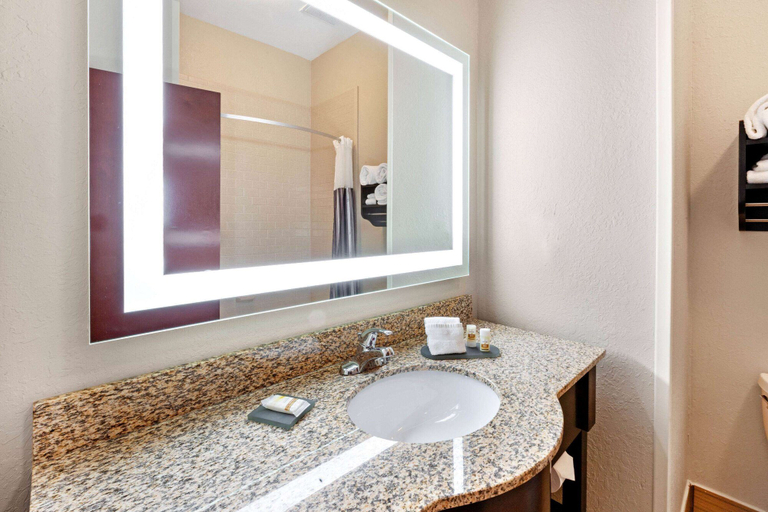 Bathroom 5, La Quinta Inn & Suites by Wyndham South Bend, Saint Joseph