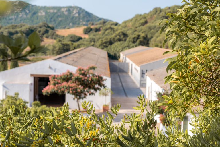 Exterior & Views 2, Hotel Rural Sant Patrici, Baleares