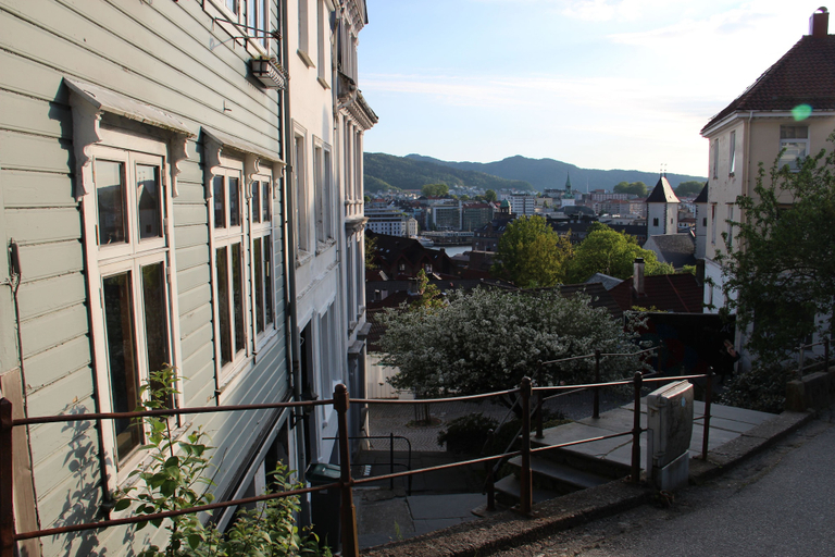Others 4, Center Villa, Bergen