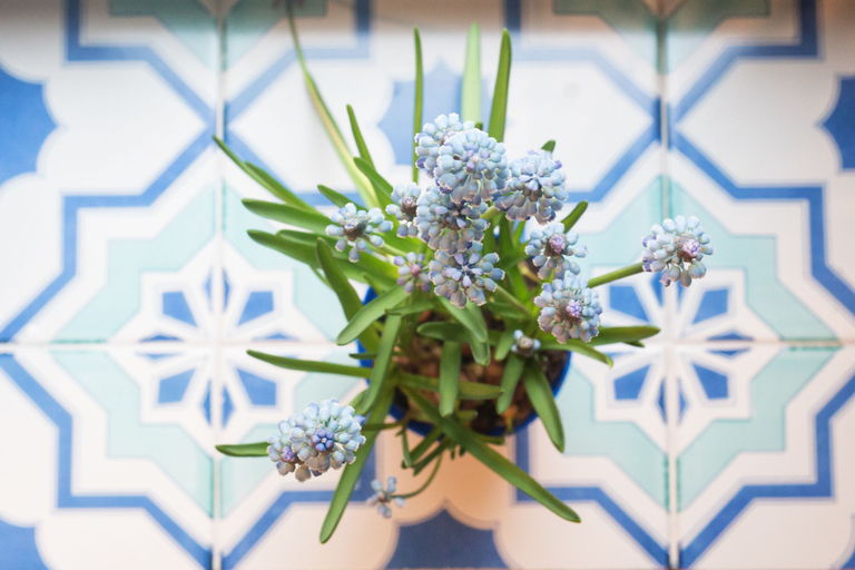 Others 4, Explore the Amalfi Coast from a Cosy Home in Sorrento Centre, Napoli