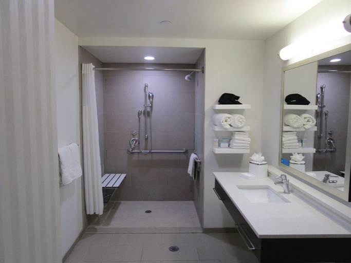 Bathroom 5, Hampton Inn & Suites Artesia, Eddy