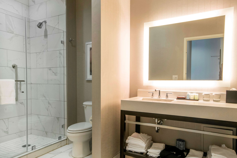 Bathroom 5, Embassy Suites Louisville Downtown, Jefferson